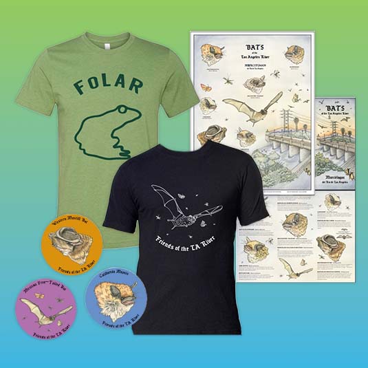 FoLAR Frog T-Shirt, Special Edition Bat T-shirt, Bat Stickers, Bat Poster and Bat Guide collage.