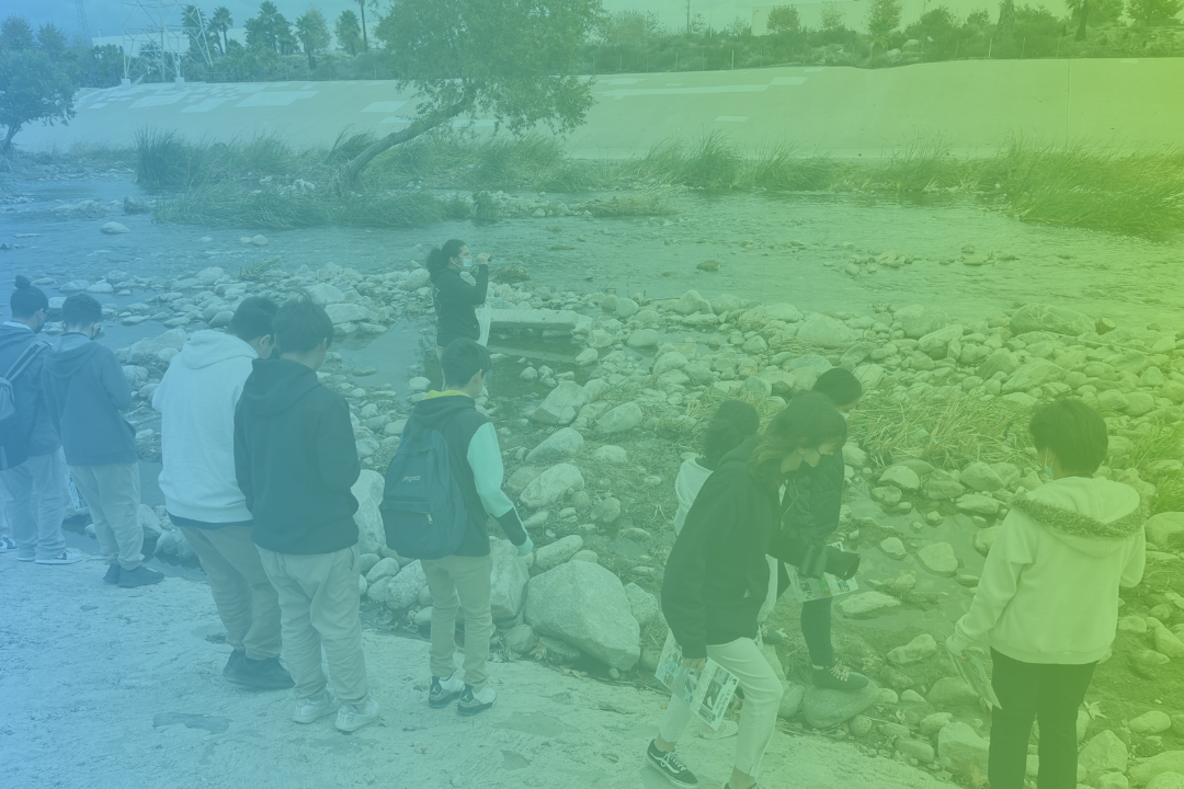 Árbol de la Vida: Memorias y Voces de la Tierra – San Antonio River  Foundation