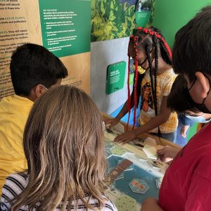 Students interact with River Rover exhibit.