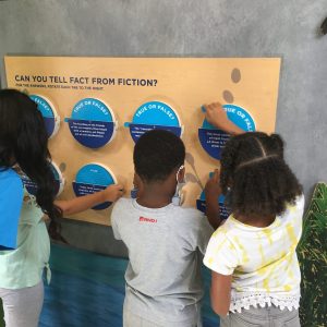 Young students play with an intractable exhibit in the River Rover.