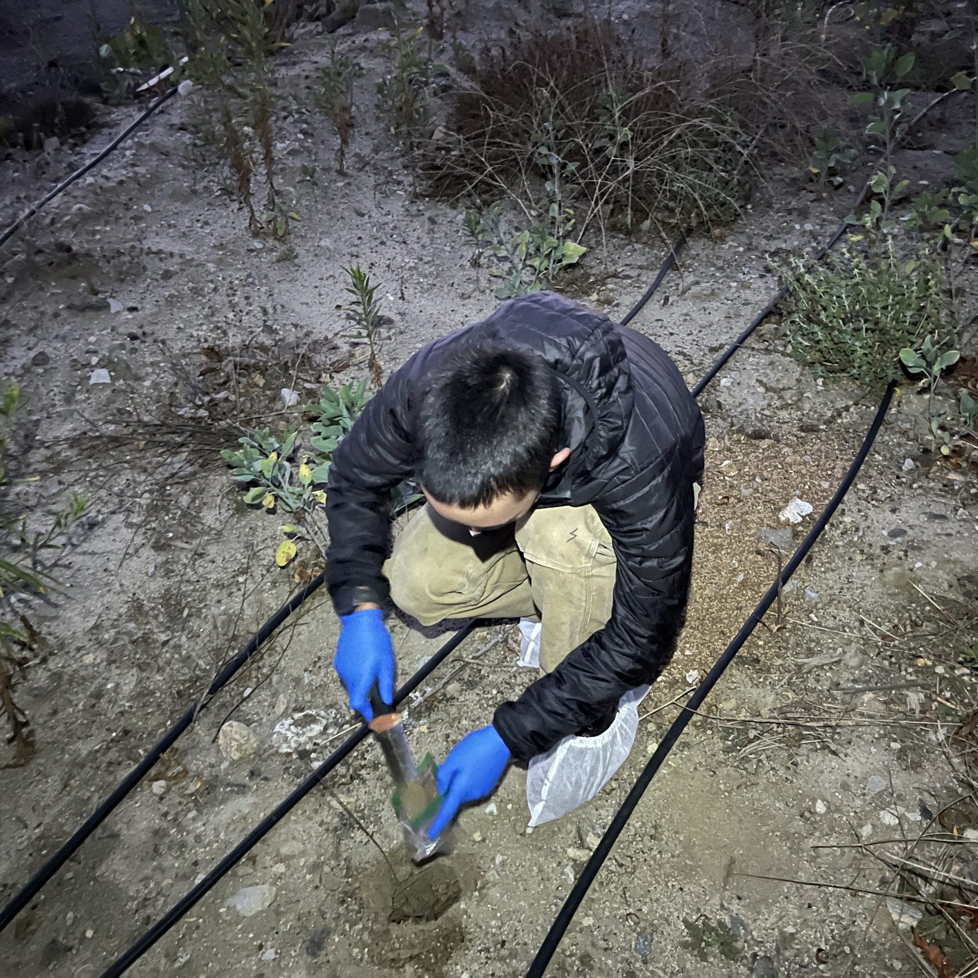 LA River Fellow digs a hole.