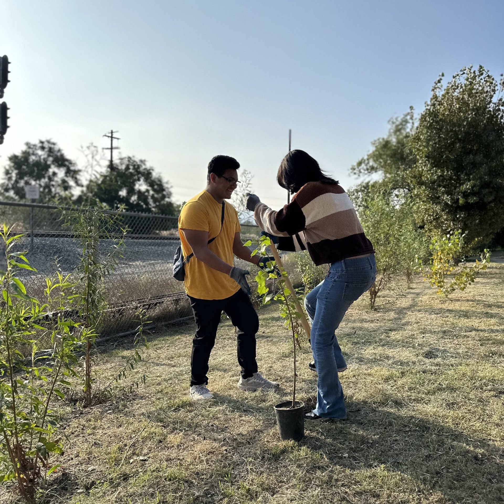 LA River Fellows plant tree saplings.