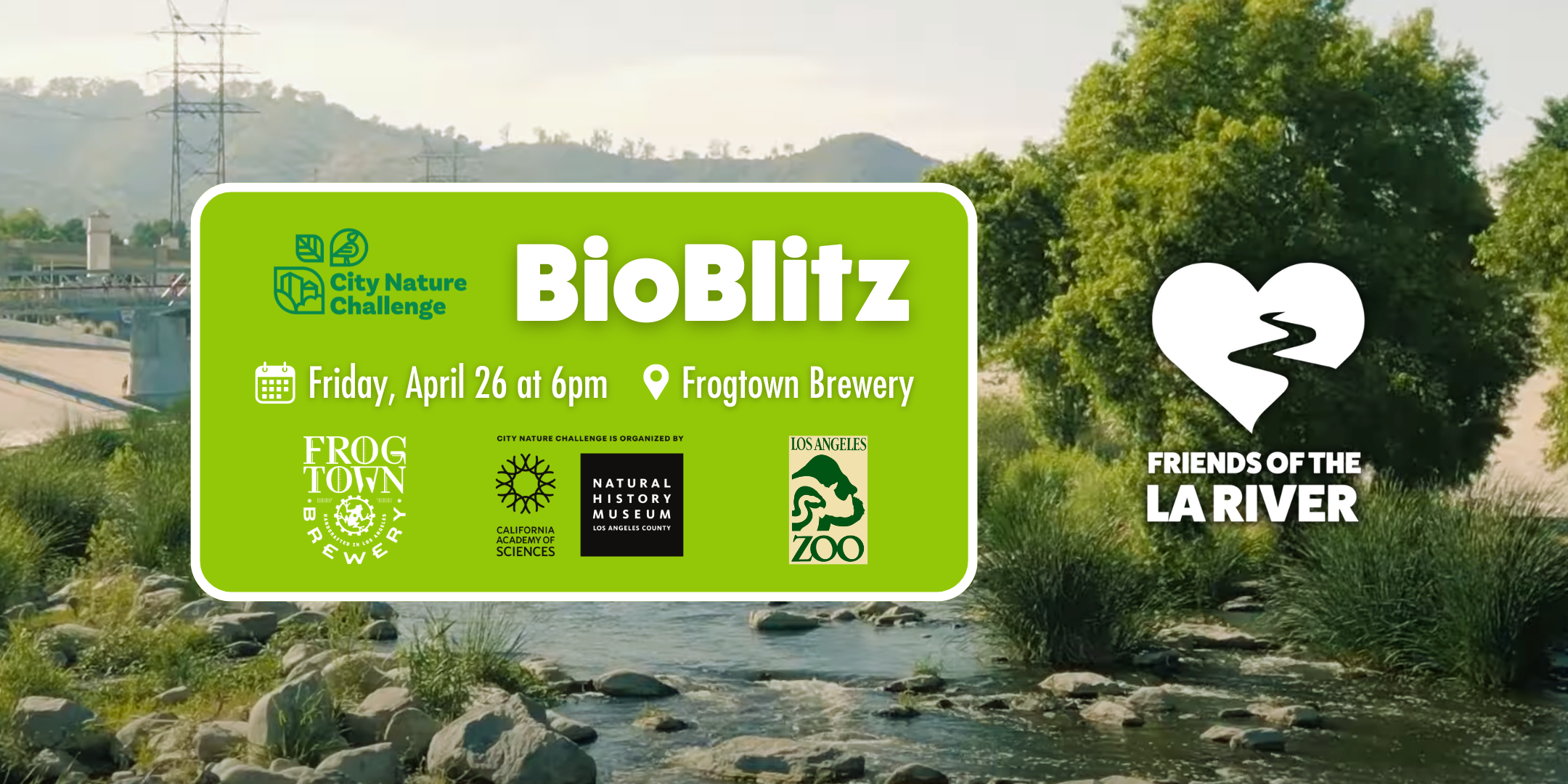 City Nature Challenge BioBliz!