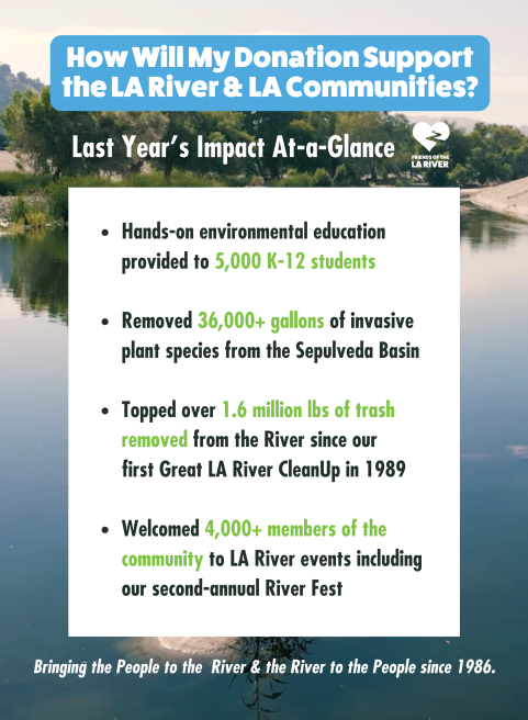 2023 Impacts - Donation Page - Full Page Size